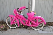 6th Jan 2015 - The funky pinky bike