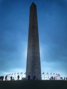 6th Jan 2015 - In the Shadow of the Washington Monument