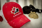 6th Jan 2015 - Canada wins Gold!