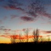 Evening skies by susie1205