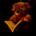 Teddy reads by elisasaeter
