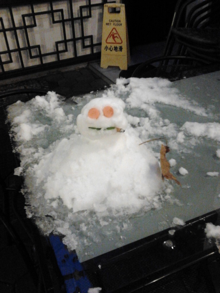 cool snowman by zardz