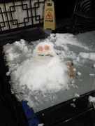 28th Dec 2014 - cool snowman