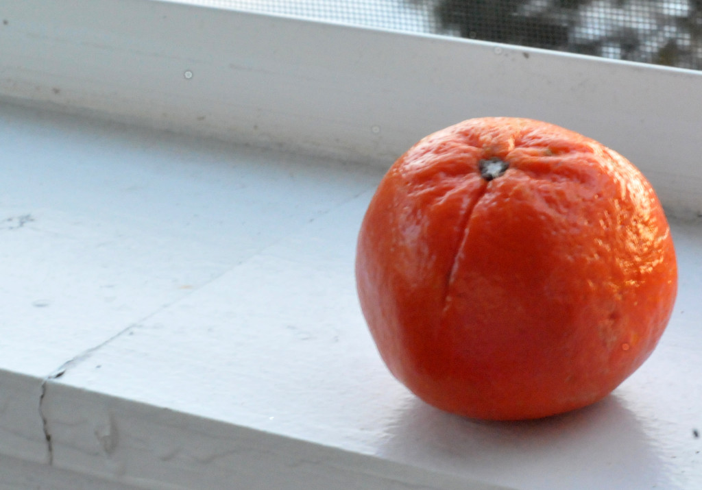tangerine by kathyrose