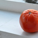 tangerine by kathyrose