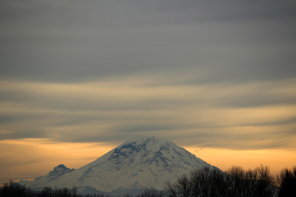 MT Rainier from the Roof by nanderson