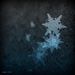 Snowflake Pile  by mhei