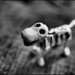 Dog Bones by pixelchix