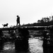 Ursula on the Clapper Bridge - Postbridge, Dartmoor by sjc88