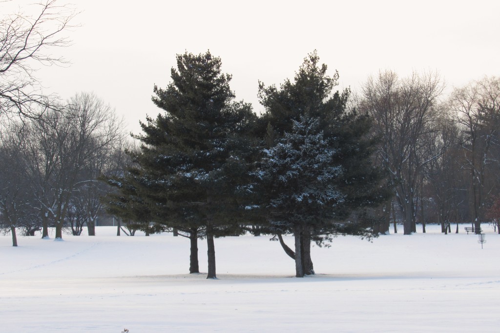 Winter Scene by randy23