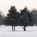 Winter Scene by randy23