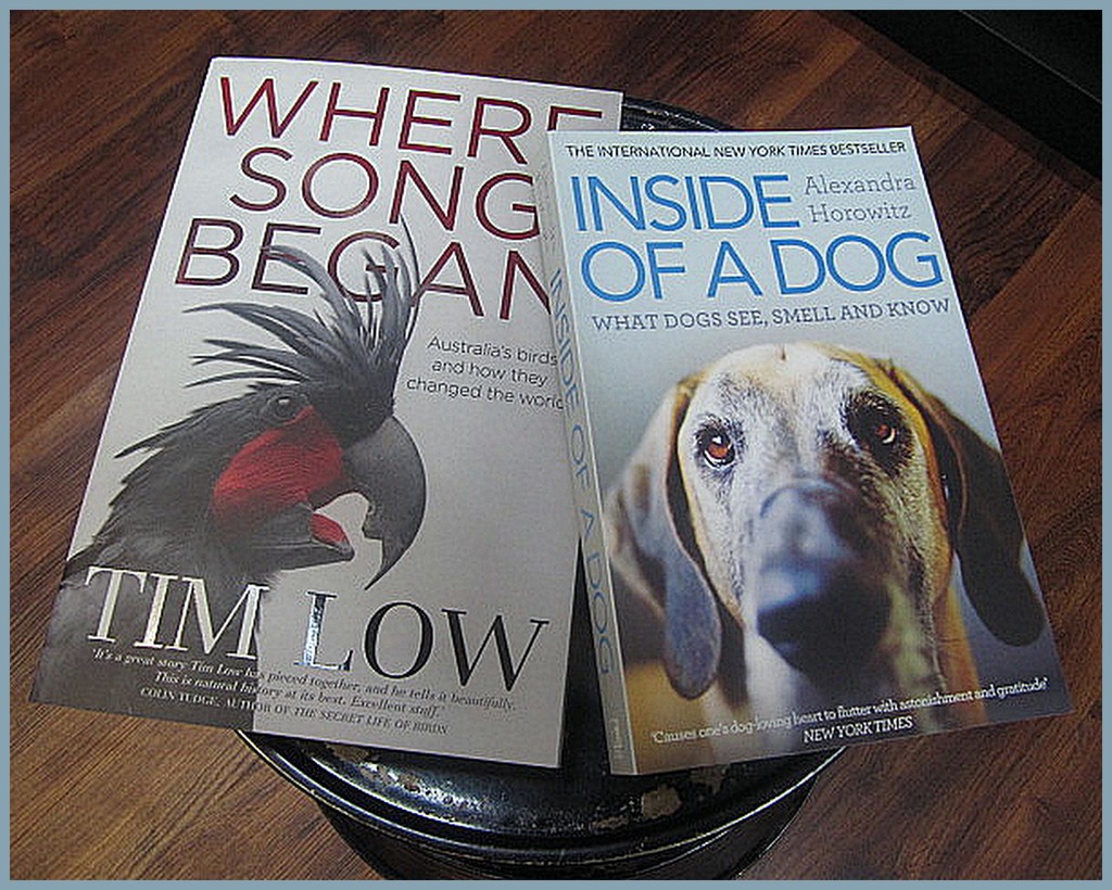 Learn all about the 'Birds & the .....'Dogs.' by happysnaps