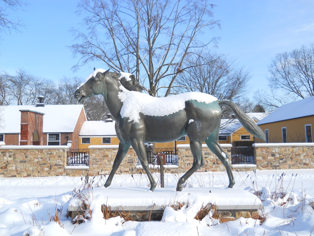 Horse in the snow by kchuk