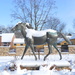 Horse in the snow by kchuk