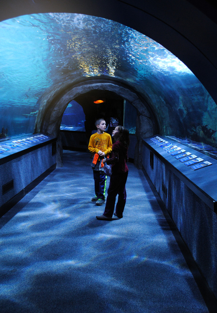 Wonder in the Undersea Tunnel by alophoto