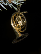 8th Jan 2015 - French Horn ornament 2