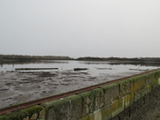 8th Jan 2015 - Waiting for High Tide
