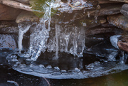 8th Jan 2015 - Ice in Koi Pond