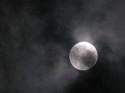 30th Jan 2010 - Wolf Moon