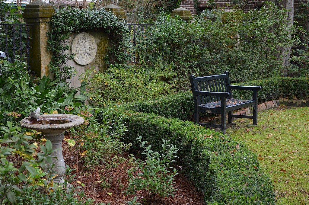 Garden, historic district, Charleston, SC by congaree