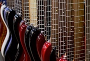 7th Jan 2015 - Electric Guitars: Front