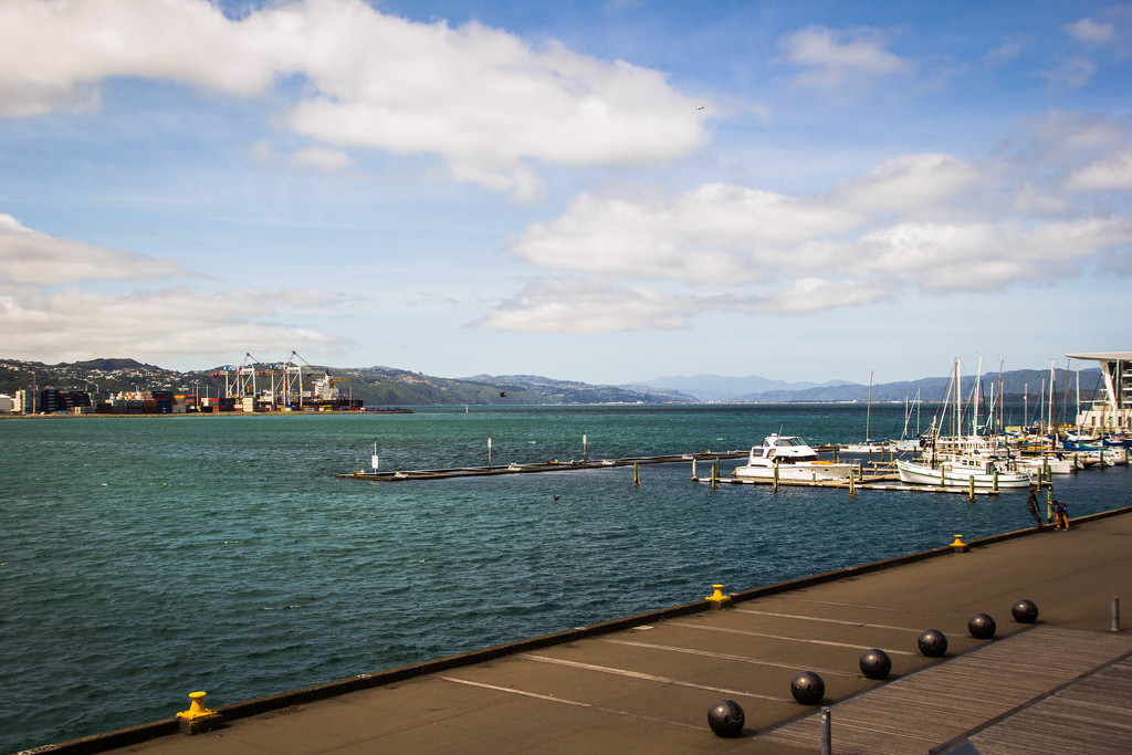 Wellington harbour #250 by ricaa