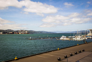 5th Jan 2015 - Wellington harbour #250