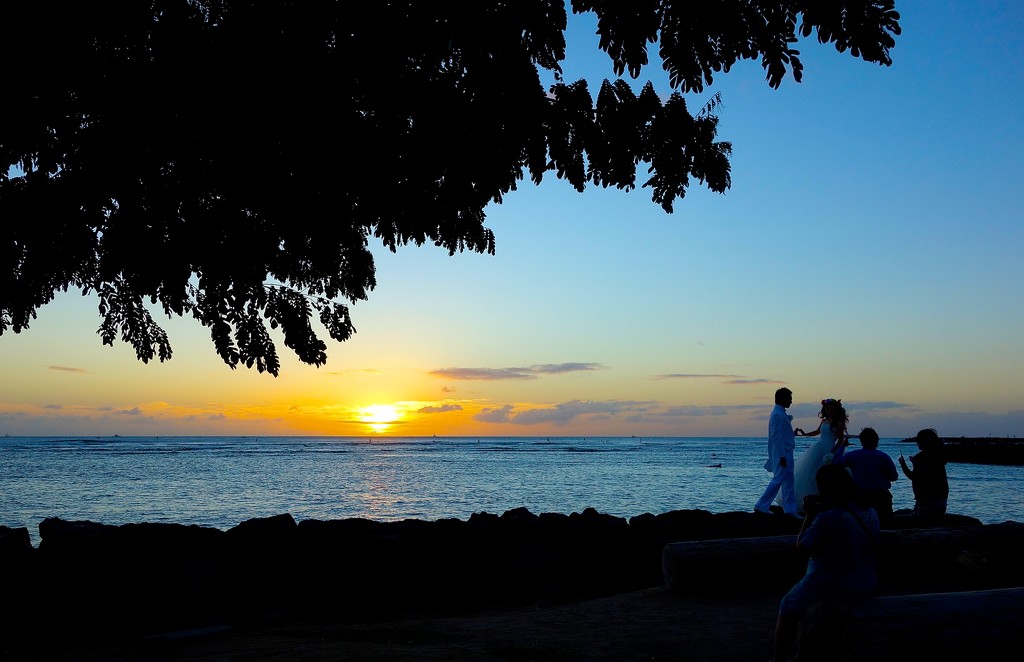 Honeymoon in Honolulu.  by cocobella