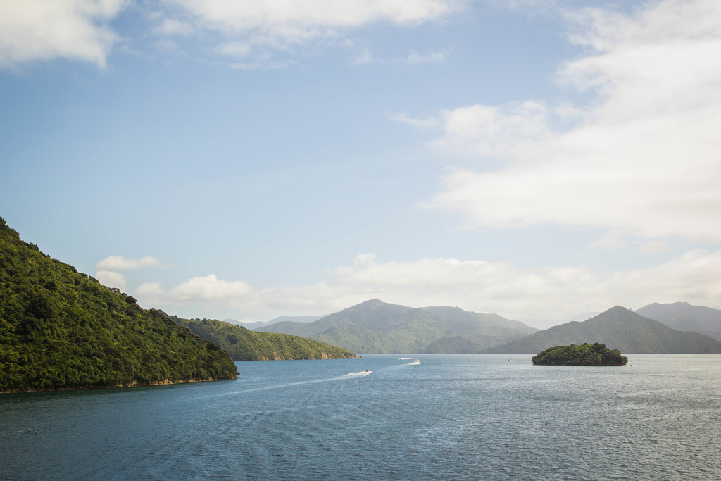 beautiful South Island #251 by ricaa