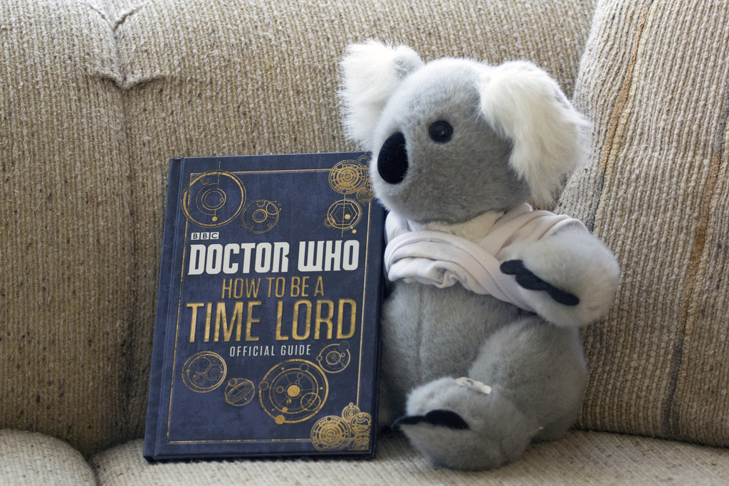 A Koala Time Lord by hjbenson