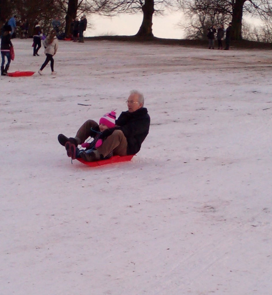 Sledging at Wollaton Park by jennymdennis
