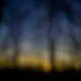 Blurry sunset by loweygrace