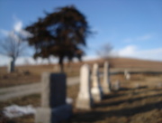 8th Jan 2015 - Pleasant Valley Cemetery