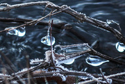 10th Jan 2015 - Ice and Frost - or Frosty Ice