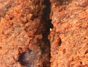 10th Jan 2015 - Closeup of Chocolate Chip Muffin
