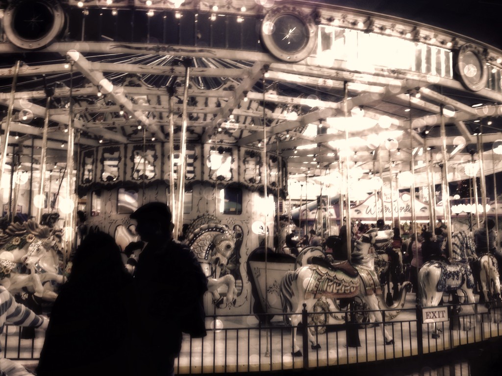 the carousel by edie