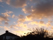 10th Jan 2015 - Evening sky
