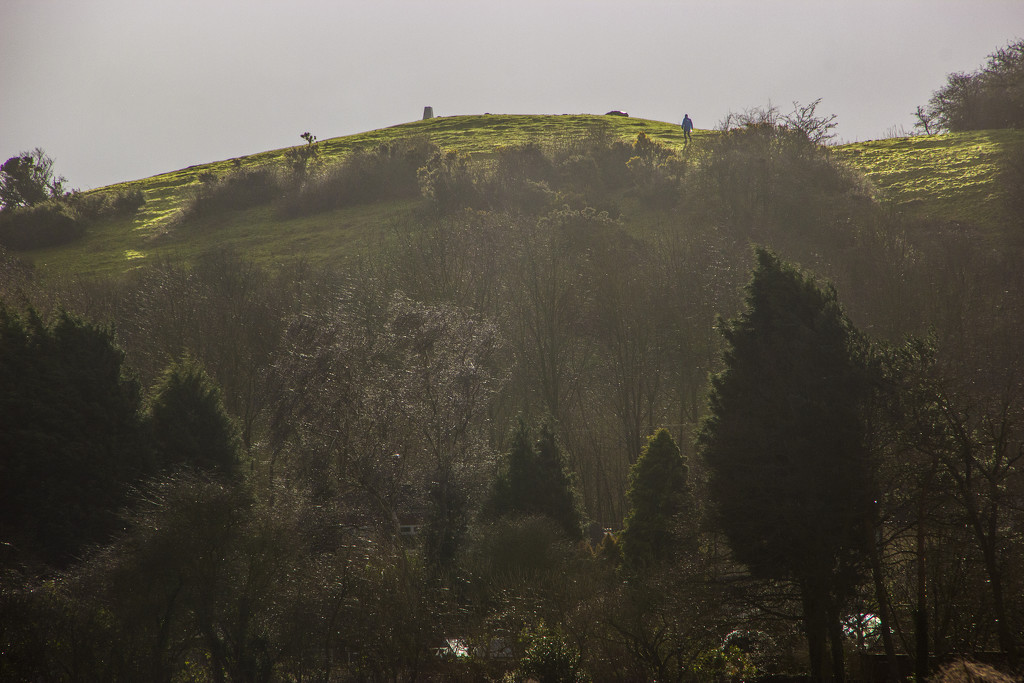 The sunny side of the Hill by shepherdman