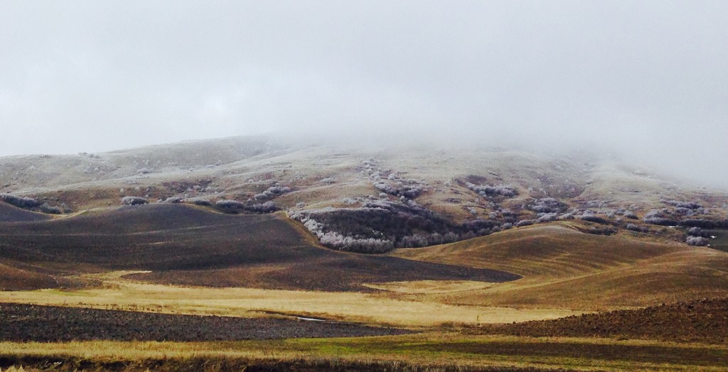 Frosty Butte -- 1 by marilyn