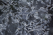 11th Jan 2015 - Ice in the Street
