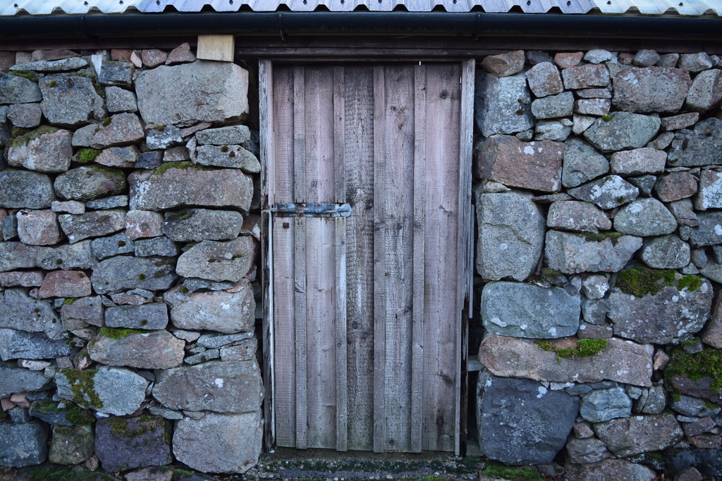 shed door by christophercox
