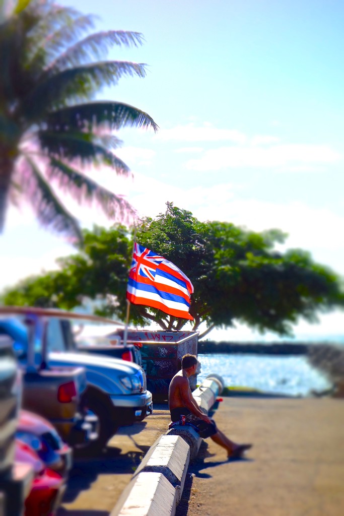 Hawaiian flag by cocobella