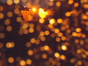 12th Jan 2015 - Rain on the window