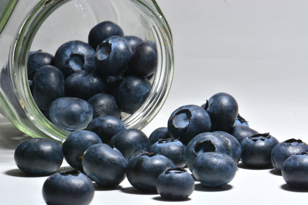  DIY Blueberry Jam by jayberg