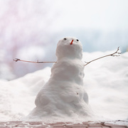 12th Jan 2015 - Do you wanna build a snowman