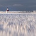 Lighthouse Blur by taffy