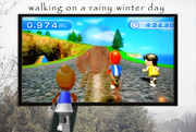 12th Jan 2015 - Wii Walking on a Rainy Winter Day