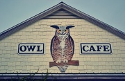 13th Jan 2015 - Owl Cafe 