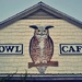 Owl Cafe  by soboy5