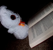 29th Oct 2010 - Ghosty Doing His Ghostly Studying